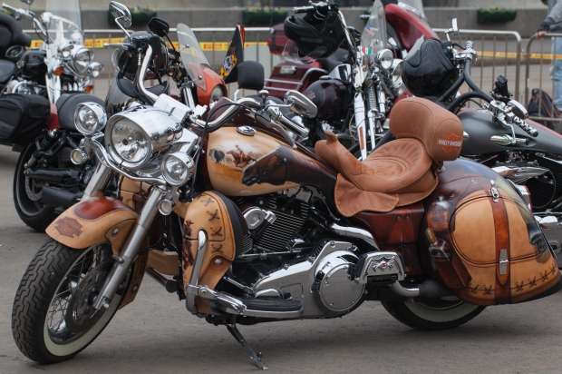 motorcylcle saddlebag